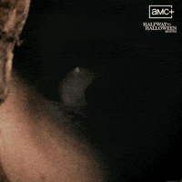 Amc Eyeball GIF by Shudder