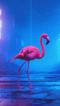 Chromatic Chroniclles 9