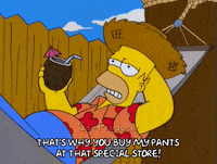 homer simpson GIF