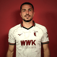 Bundesliga Ibrahimovic GIF by FC Augsburg 1907