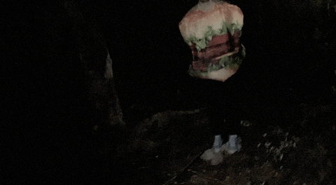 Blair Witch Pizza GIF by Speedy Ortiz
