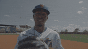 Major League Baseball GIF by MLB