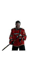 Goal Hockey Sticker by Avangard