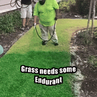 Lawn Paint GIF by ENDURANT TURF PAINT
