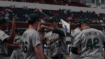 baseball wave GIF by GreenWave