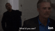 Law And Order Svu GIF by ION