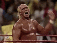 Hulk Hogan Sport GIF by WWE