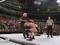 ric flair goldberg GIF by WWE
