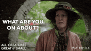 Come Again What Are You Doing GIF by MASTERPIECE | PBS