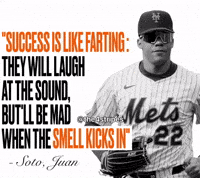 New York Mets Baseball GIF