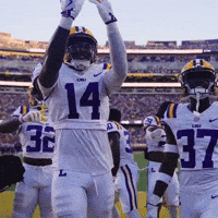 College Football GIF by LSU Tigers