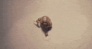 Streets GIF by Doja Cat