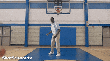 indiana pacers basketball GIF