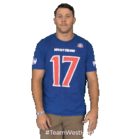 Buffalo Bills Sticker by West Herr