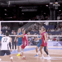 Olympic Games Sport GIF by NBC Olympics
