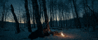 the revenant film GIF by Tech Noir