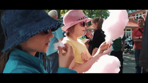 galoppdresden giphygifmaker pferddig GIF