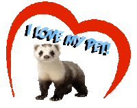 Guinea Pig Love Sticker