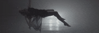 roses GIF by The Chainsmokers