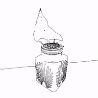 blooming black and white GIF by David Koblesky