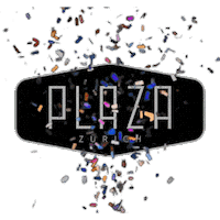Club Nightlife Sticker by Plaza Klub Zürich