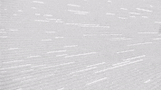 black and white winter GIF by VIRTUTE