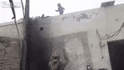 video encouraging GIF
