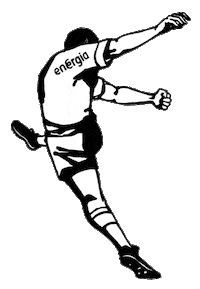 Ireland Rugby Sticker by Energia
