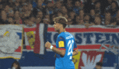 Fiete Arp Bundesliga GIF by Holstein Kiel