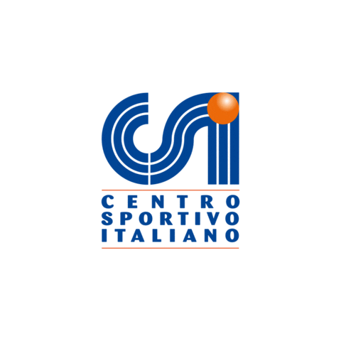 CSInazionale dodgeball csi vitacsi easysport Sticker