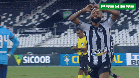 Serie A Serieb GIF by Canal Premiere