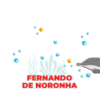 Noronha Fernandodenoronha Sticker by Passagens Imperdíveis
