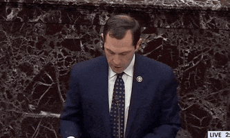 Impeachment Trial GIF