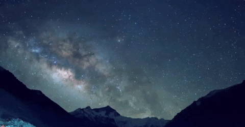 inssight giphygifmaker GIF
