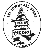 Tree Sticker by Ski Town All-Stars