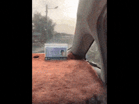 迷因 GIF