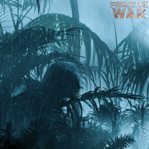 November 28 Storm GIF by Signature Entertainment