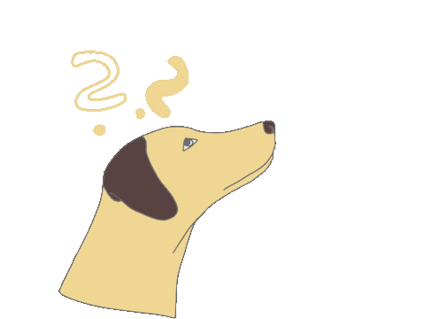 Dogs Hund Sticker by Lieblingshund Training