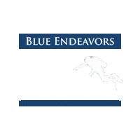Diving Scuba Sticker by Blue Endeavors