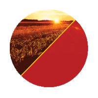 Sementes Dekalb Sticker by Agro Bayer