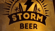 stormbeer drink beer bier cerveja GIF