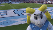 North Carolina Football GIF by UNC Tar Heels