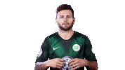 renato steffen football Sticker by VfL Wolfsburg