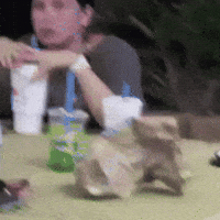 Vc College GIF