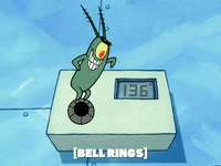 season 5 new digs GIF by SpongeBob SquarePants
