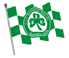 Shamrock Thetoughest Sticker by AIB
