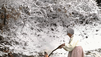 tingtinglu giphyupload GIF