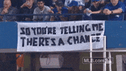 Blue Jays Baseball GIF by MLB
