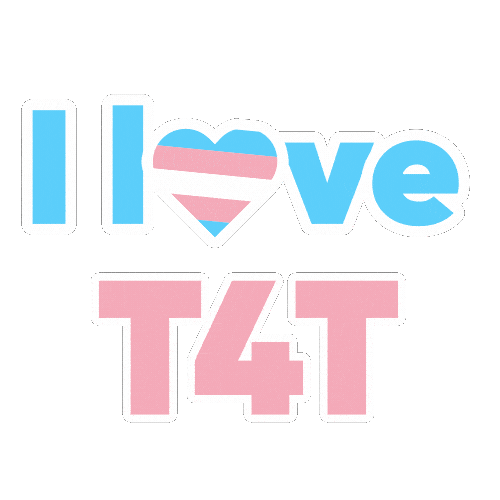 T4T Love Sticker by Taimi