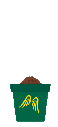 Flower Grow Sticker by Provinzial